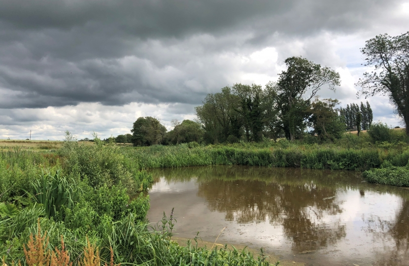 inground pool near wetlands