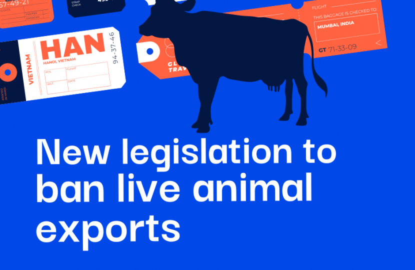 ban live exports