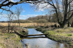 Chalk stream