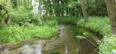 Norfolk Rivers Trust image of River Babingley