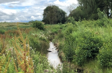 protecting our rivers