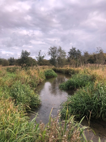 River Nar restoration project