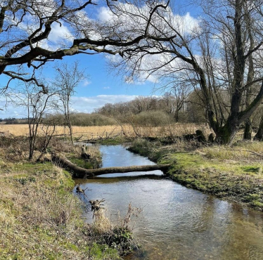 Chalk stream