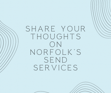 Share your thoughts on Norfolks SEND services